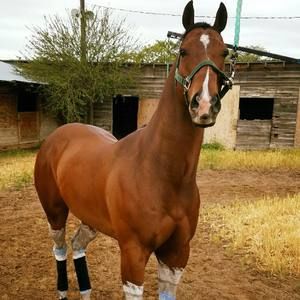 Meet your Posher, Fabian